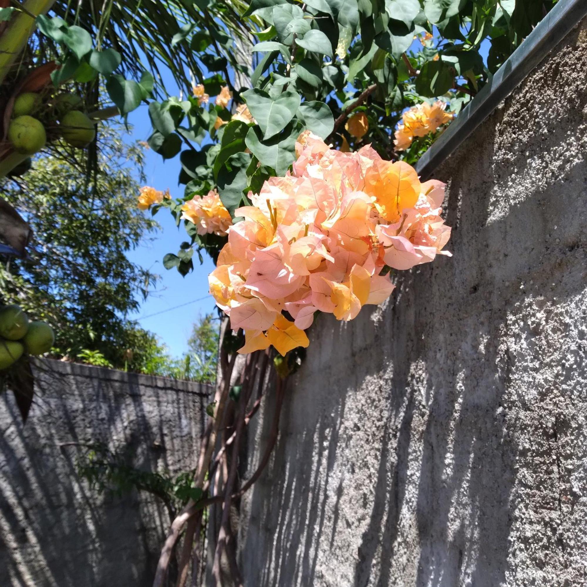Casa China & Silva, Otima Casa Para Praia Ou Descanso, Proximo As Dunas Da Sabiaguaba E Shoppings Em Eusebio E Fortaleza Ce 外观 照片